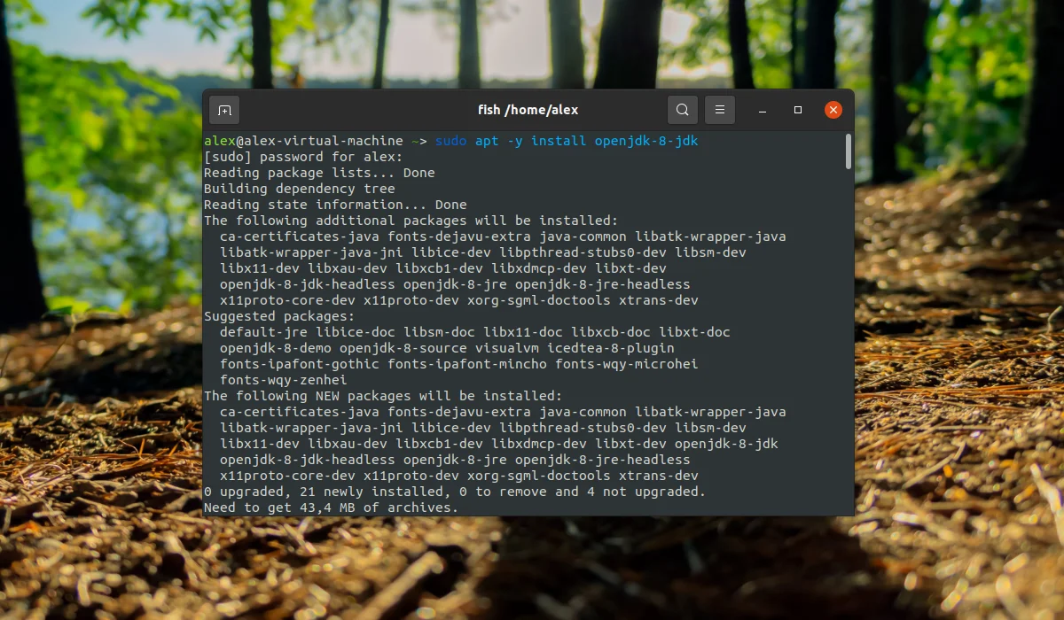 Java в Ubuntu 20.04: Полное руководство по установке всех версий