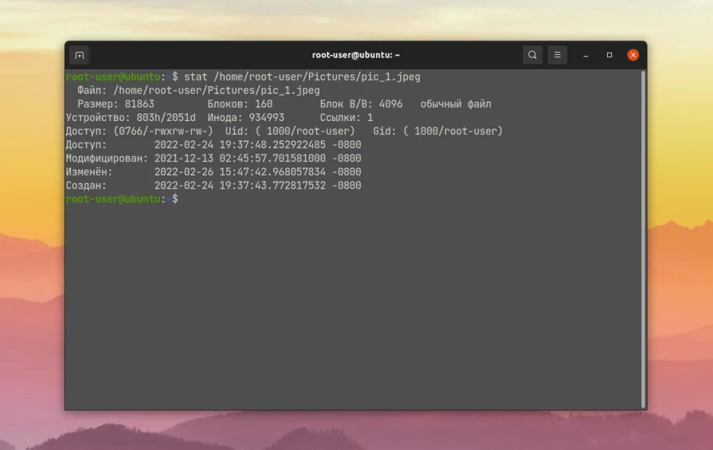 Как узнать, когда файл был создан в Linux: 2 рабочих способа
