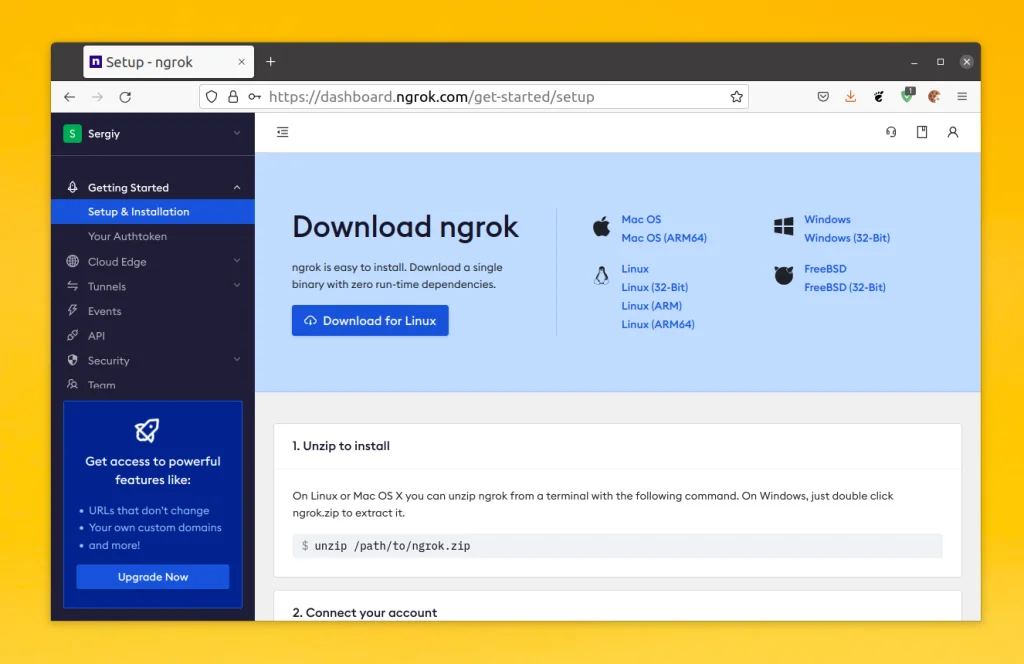 Ngrok: Как вывести локальный сервер в интернет за 5 минут