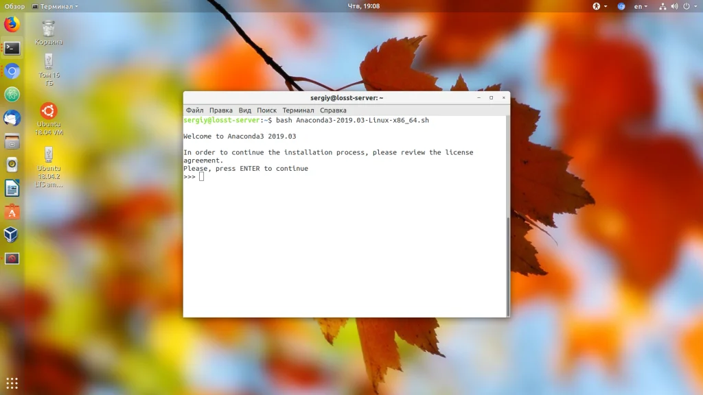 Anaconda в Ubuntu: Полный гайд по установке и настройке для Python-разработки