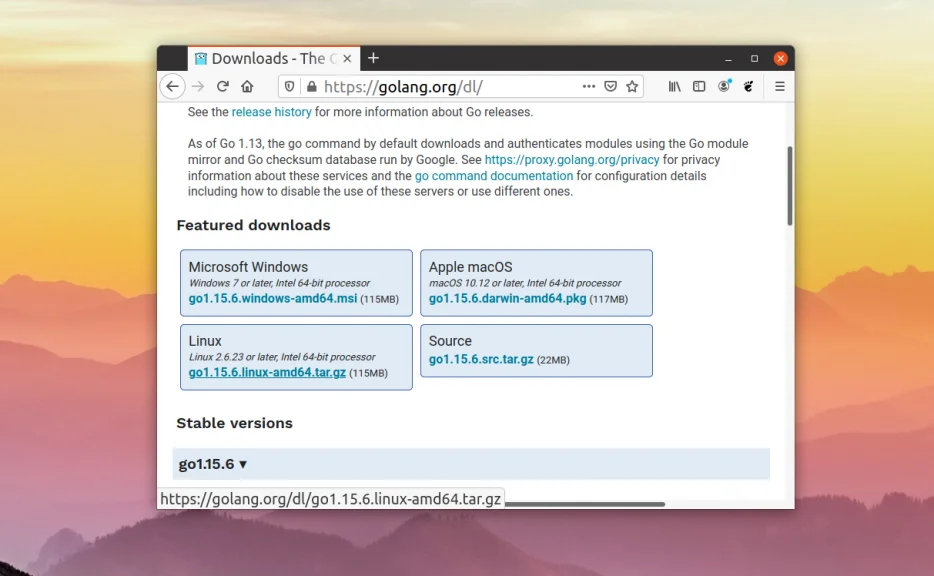 Golang на Ubuntu 20.04: Быстрая установка и первый код