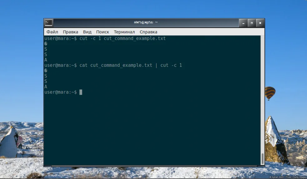 Команда cut в Linux: как легко вырезать нужные части текста
