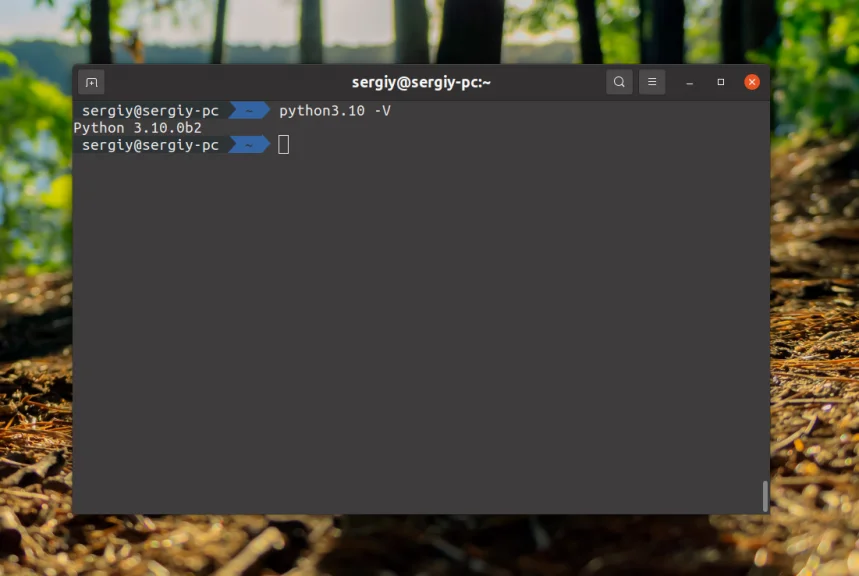 Python 3 на Ubuntu: Установи последнюю версию за 5 минут!
