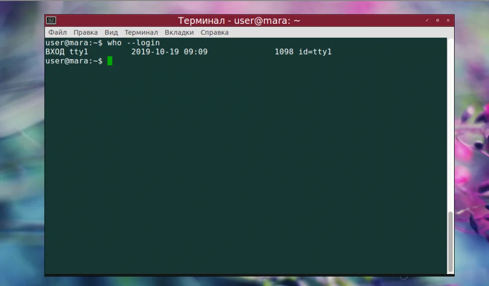 Кто сейчас в системе? Изучаем команду who в Linux