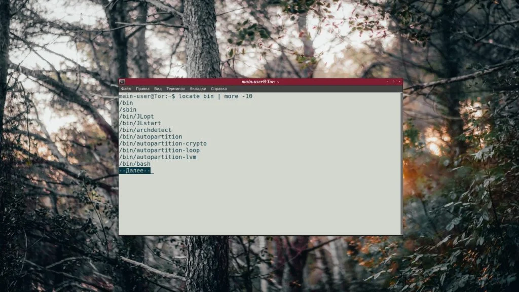 more в Linux: Как легко просматривать большие файлы в терминале