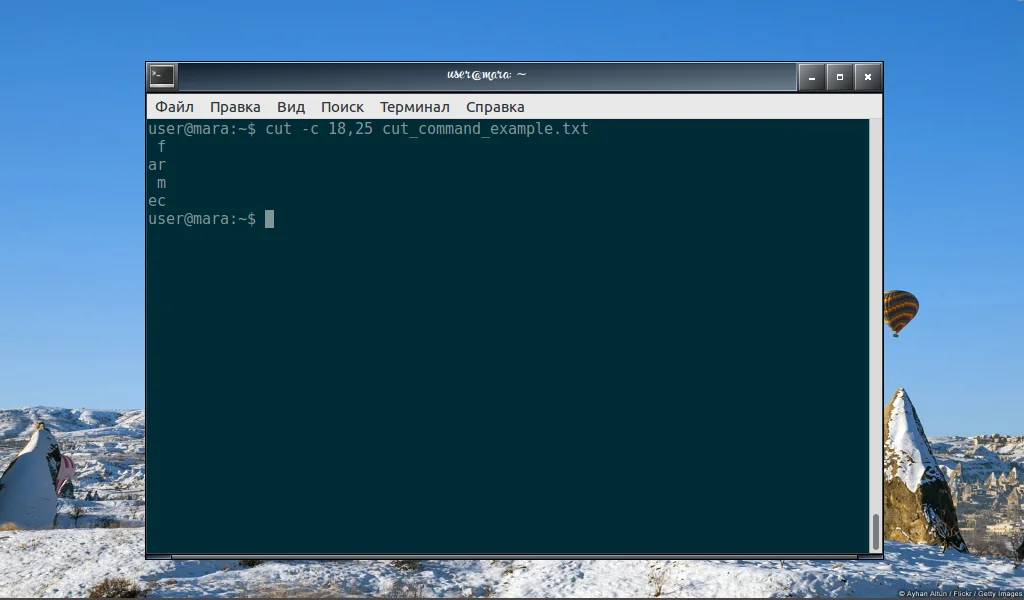 Команда cut в Linux: как легко вырезать нужные части текста