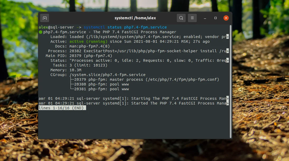 Nginx + PHP-FPM на Ubuntu 20.04: Полное руководство по настройке мощного связующего звена