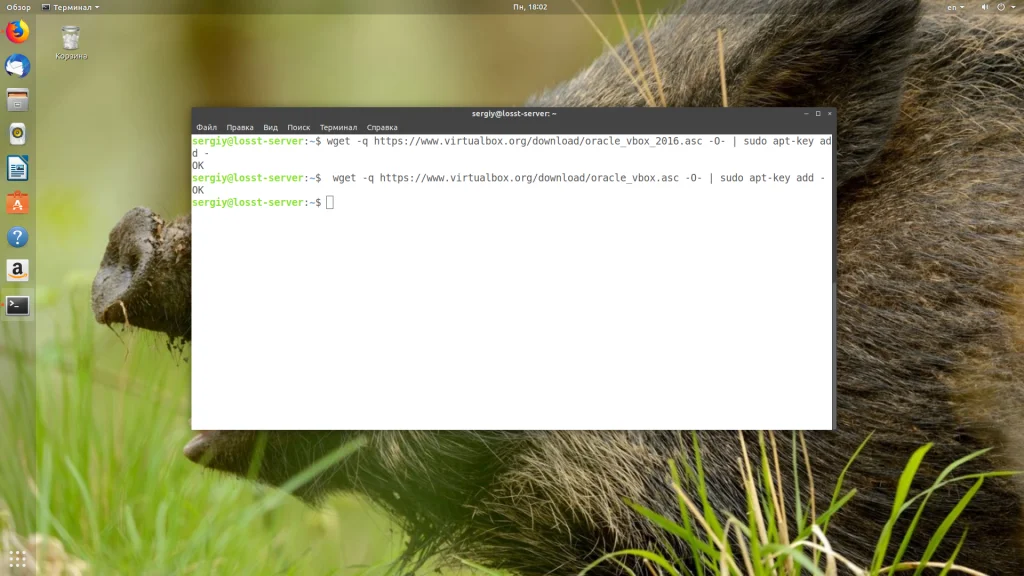 VirtualBox в Ubuntu 18.04: Полная инструкция по установке за 5 минут