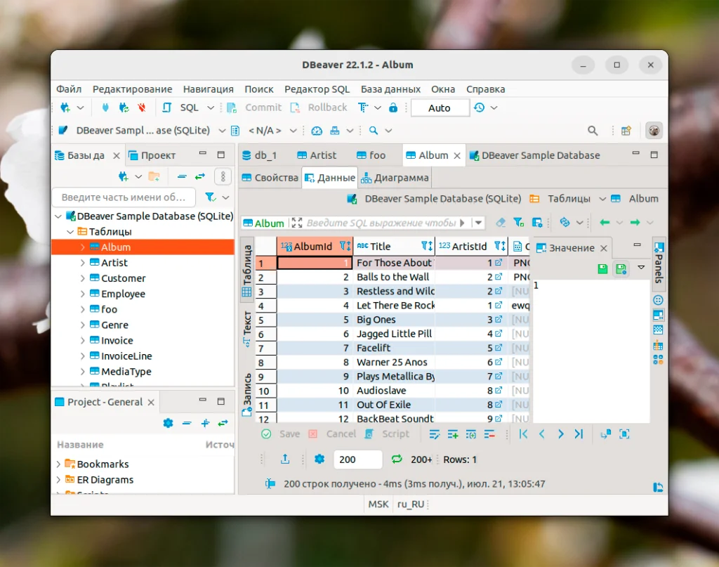 DBeaver в Ubuntu 22.04: 3 простых способа установки и быстрый старт
