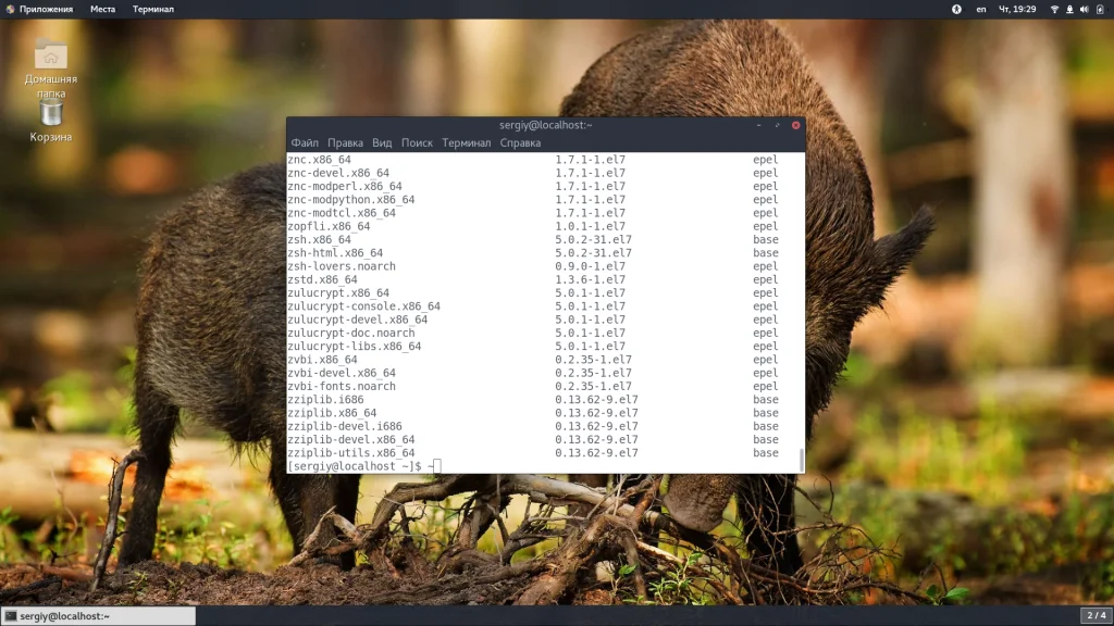 CentOS: Как узнать всё установленное ПО за 5 минут