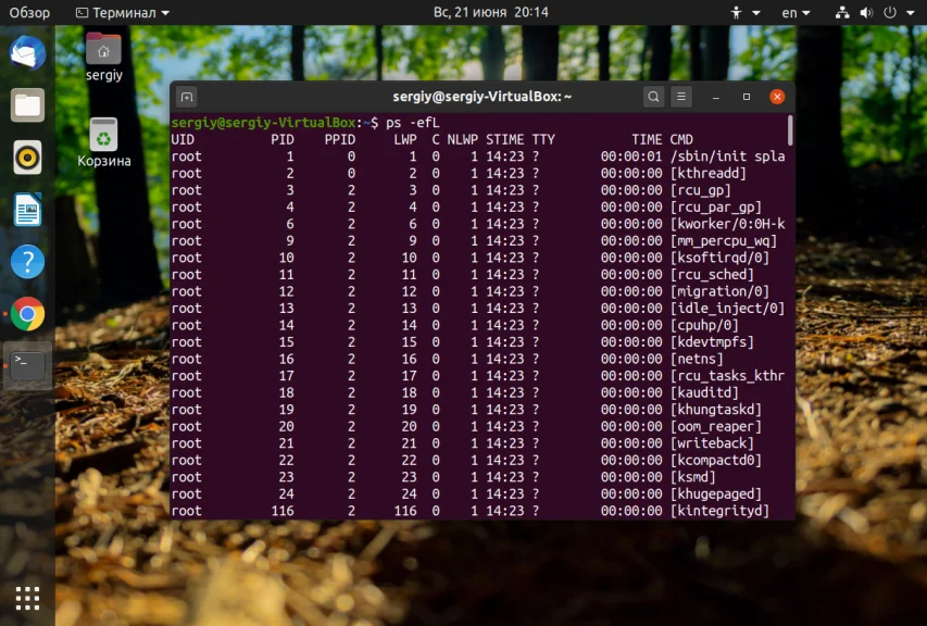 Процессы Linux: как увидеть всё, что скрыто от глаз