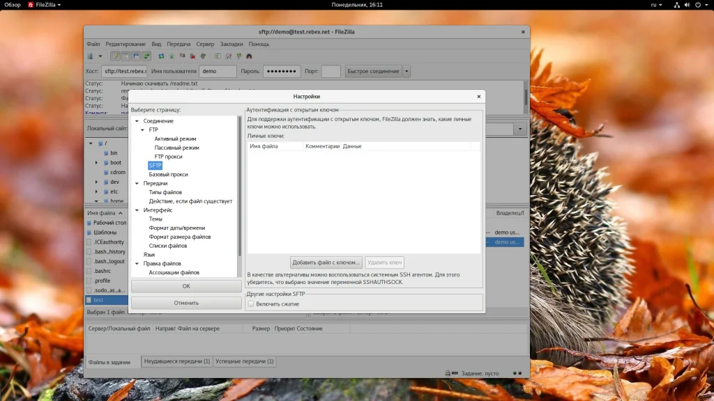 FileZilla: Полное руководство по работе с FTP-клиентом для начинающих