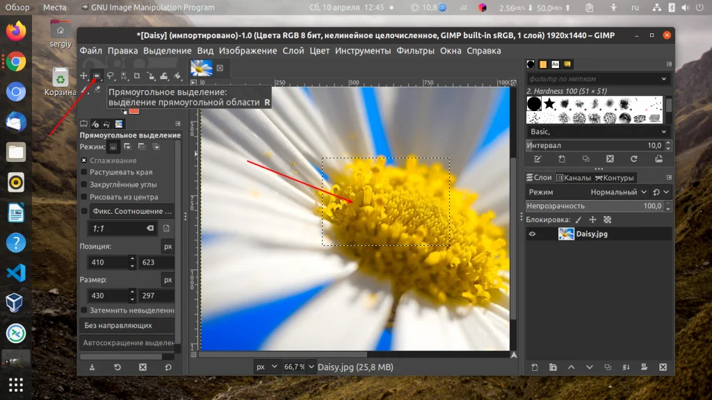 Меняем размер изображения в GIMP: полный гайд для новичков и профи