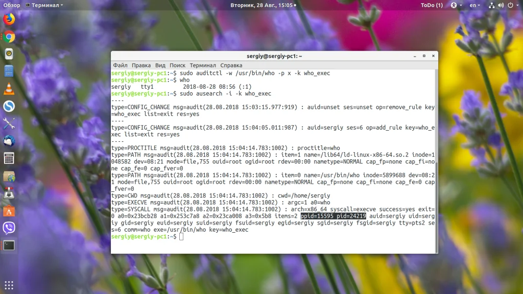 PID процесса в Linux: 4 способа найти и обезвредить любой процесс