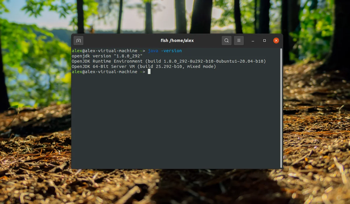 Java в Ubuntu 20.04: Полное руководство по установке всех версий