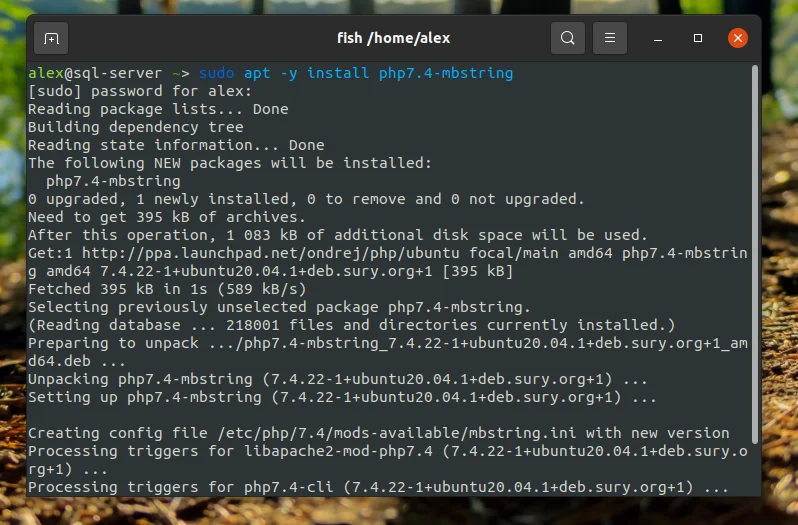PhpMyAdmin на Ubuntu 20.04: Полный гайд по установке и настройке за 5 минут