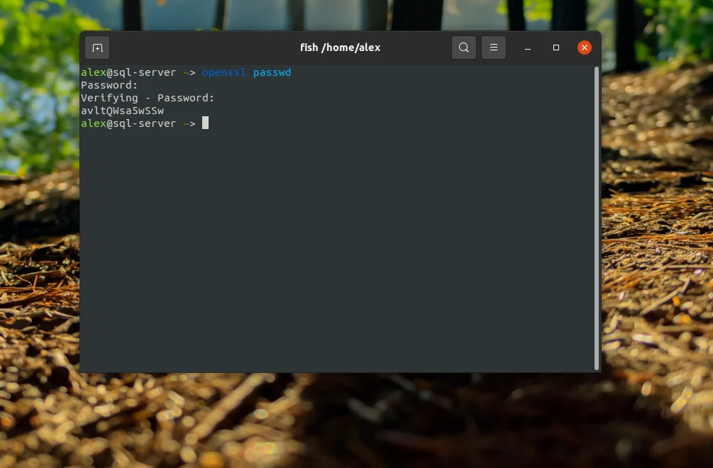 PhpMyAdmin на Ubuntu 20.04: Полная инструкция по установке и настройке с Nginx