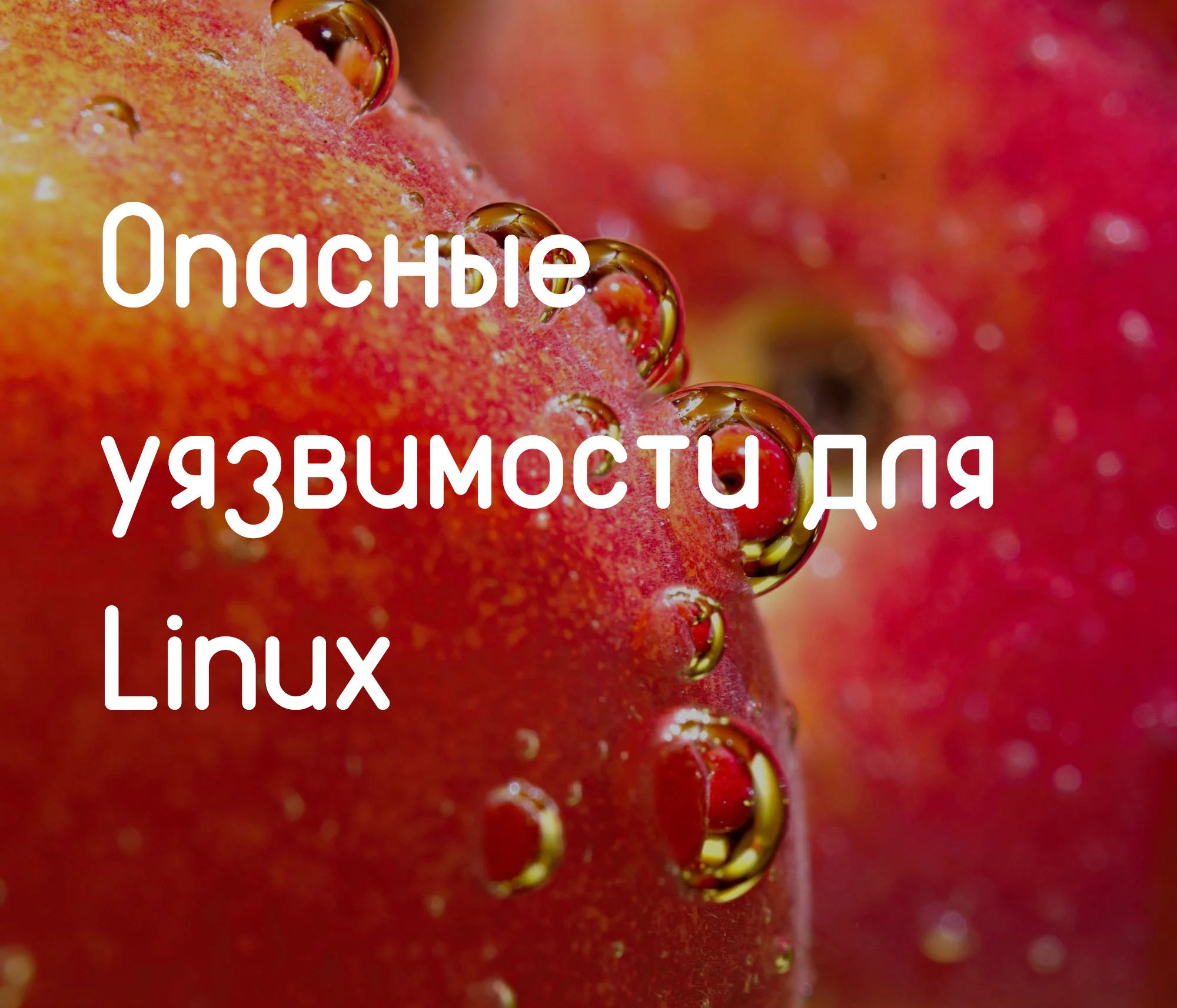 Топ-12 уязвимостей Linux, которые взломают вашу систему