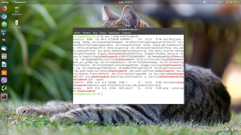 Слишком много файлов в Linux: как снять ограничение и забыть об ошибке