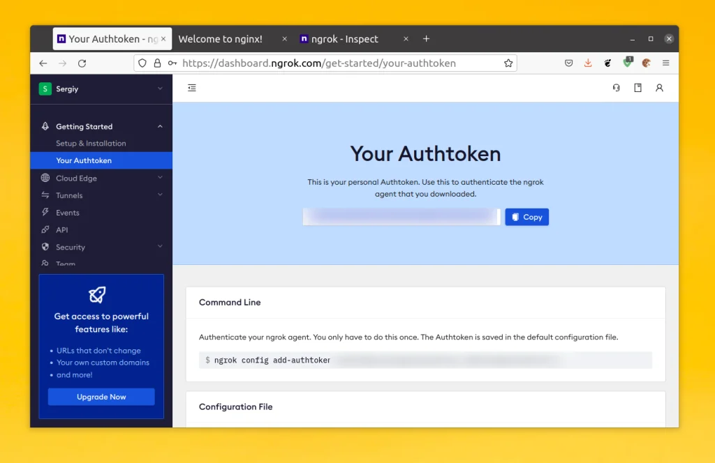 Ngrok: Как вывести локальный сервер в интернет за 5 минут