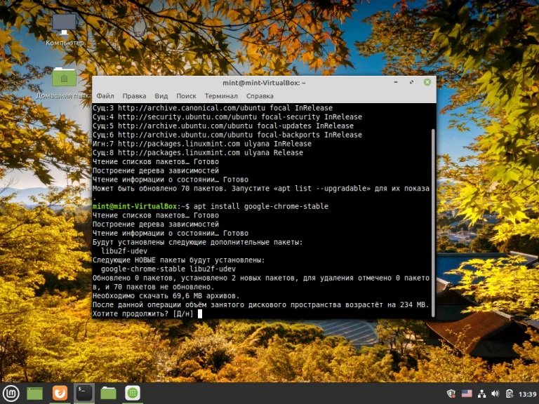 Установи Google Chrome в Linux Mint: 3 рабочих способа для уверенных пользователей