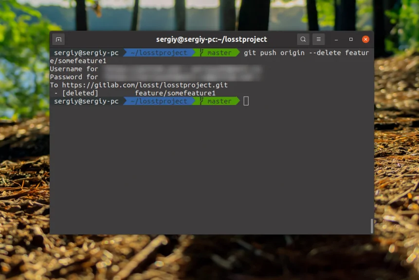 Чистим репозиторий: как правильно удалить ветку в Git