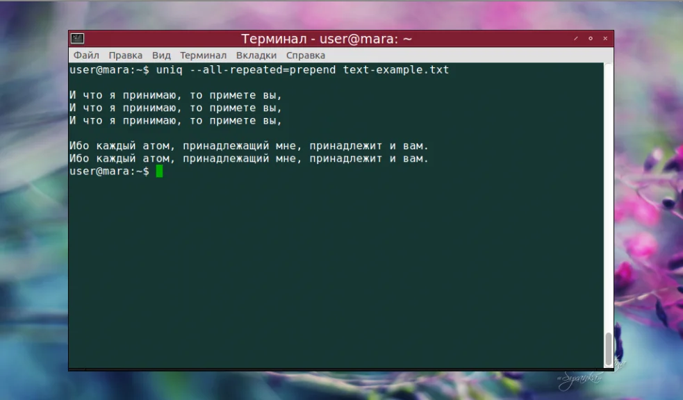 Uniq в Linux: Как легко найти и убрать дубликаты в тексте