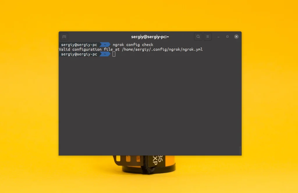 Ngrok: Как вывести локальный сервер в интернет за 5 минут