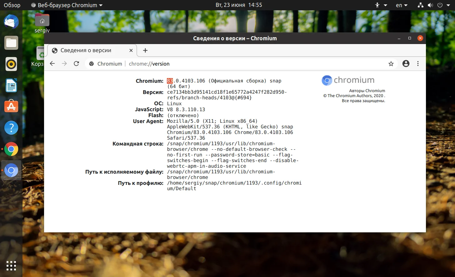 Ставим Chromium на Ubuntu 20.04: быстрый браузер за 2 команды