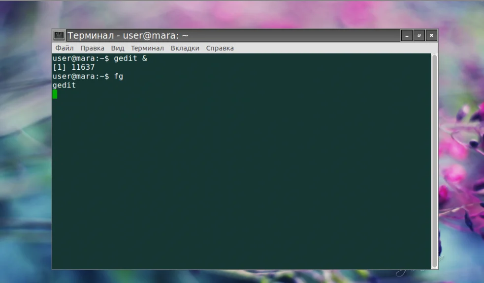 Фоновые процессы в Linux: как освободить терминал и не потерять задачи