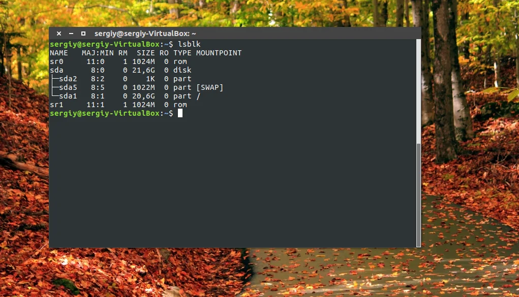 Где найти диски в Linux: 5 способов посмотреть все подключенные накопители
