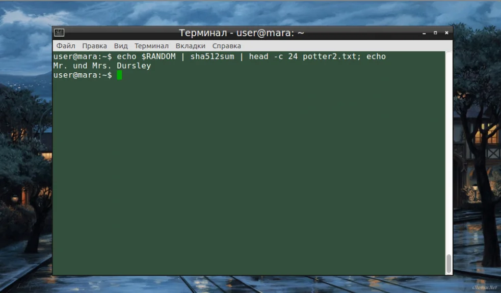 Head в Linux: как быстро просмотреть начало файла и скрытые возможности команды