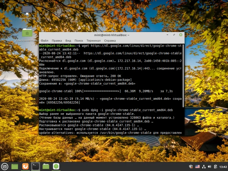 Установи Google Chrome в Linux Mint: 3 рабочих способа для уверенных пользователей