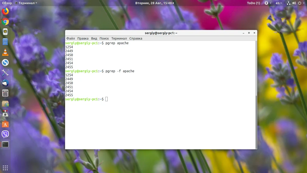 PID процесса в Linux: 4 способа найти и обезвредить любой процесс