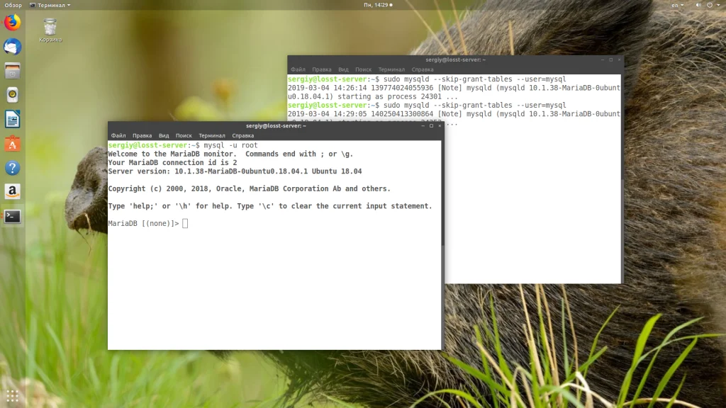 Забыли пароль root в MySQL? Восстановите доступ за 5 минут!