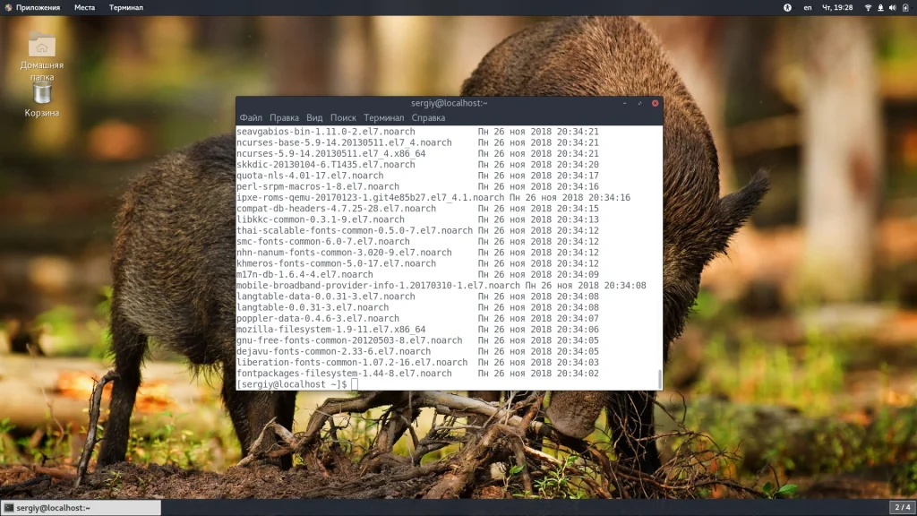 CentOS: Как узнать всё установленное ПО за 5 минут