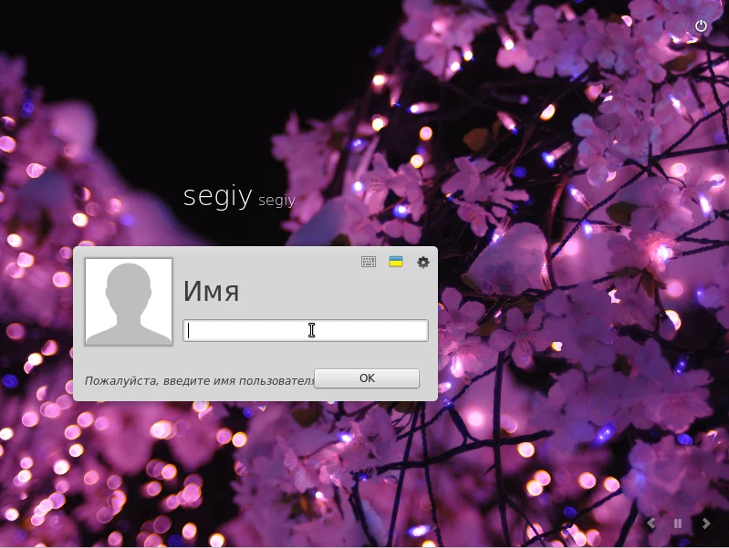 Linux Mint 17.3: Полная инструкция по установке для новичков