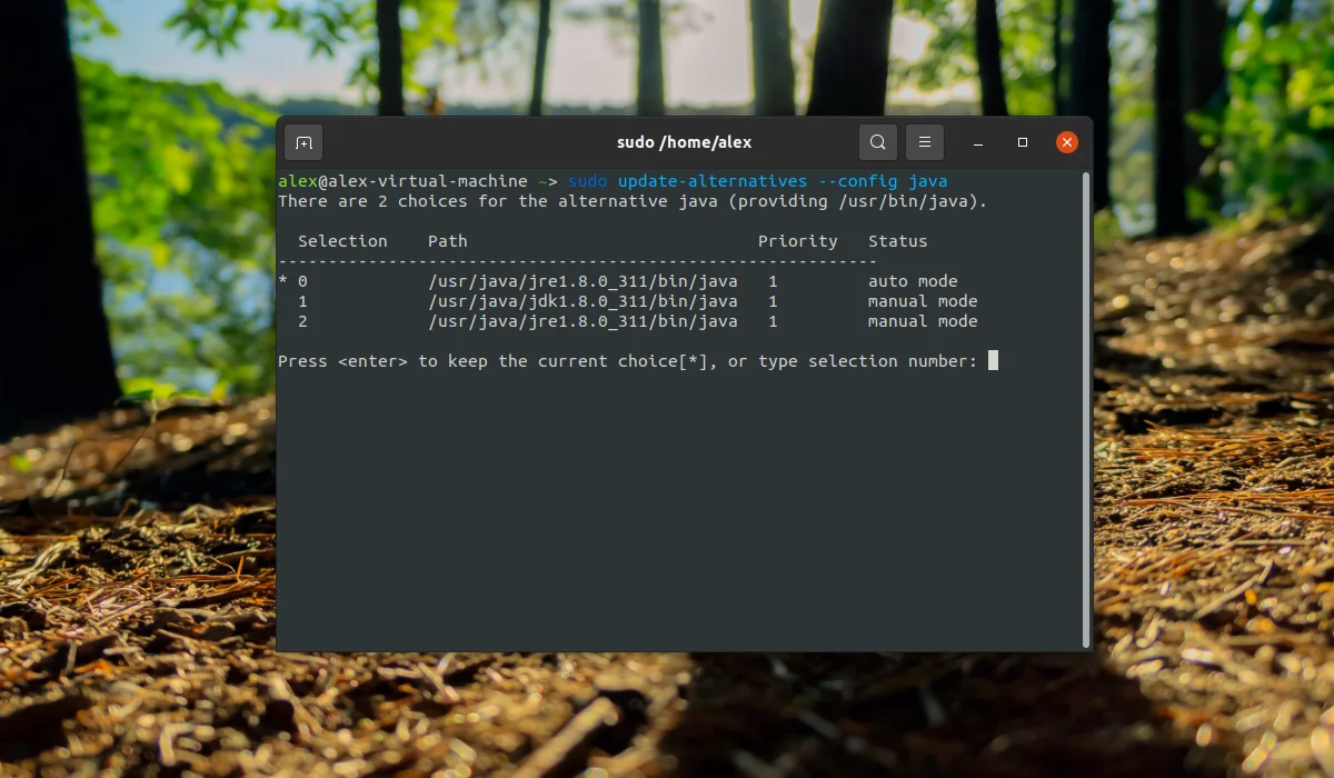 Java в Linux: Полное руководство по установке JDK и JRE для Ubuntu, CentOS и Arch