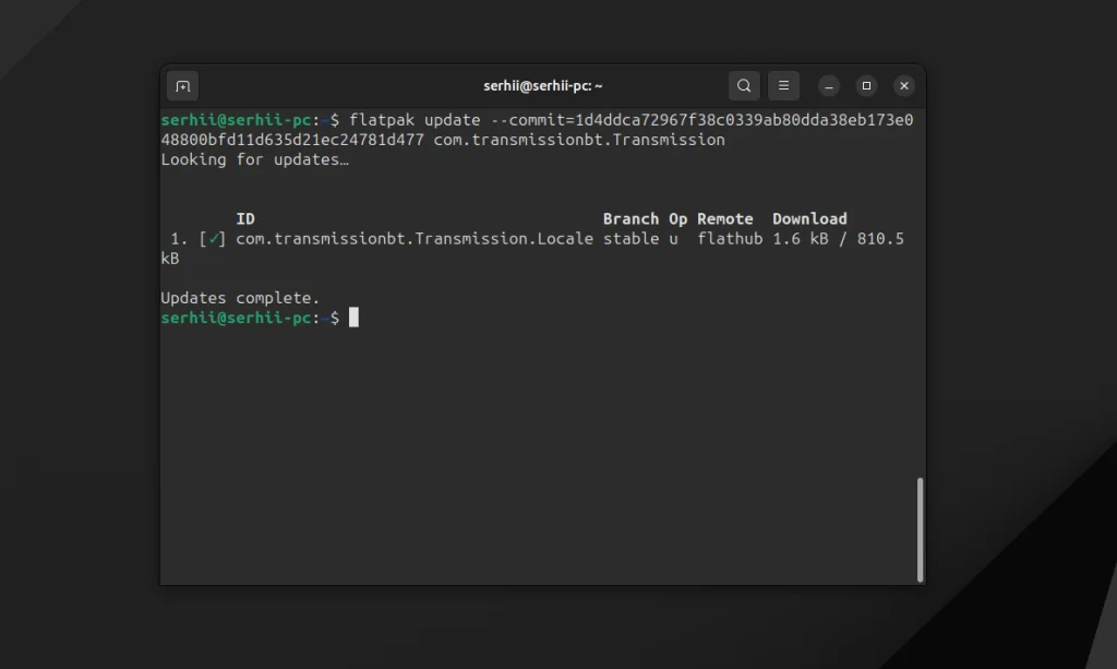 Snap или Flatpak: что выбрать для Linux в 2024 году?