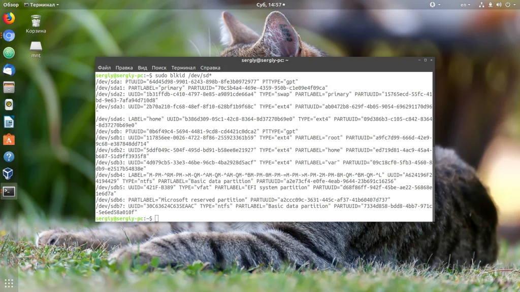 Где смотреть UUID диска в Linux: 4 простых способа