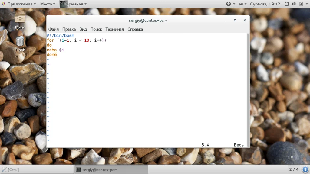 Bash: Циклы for, while, until — Пишем Скрипты как Профи