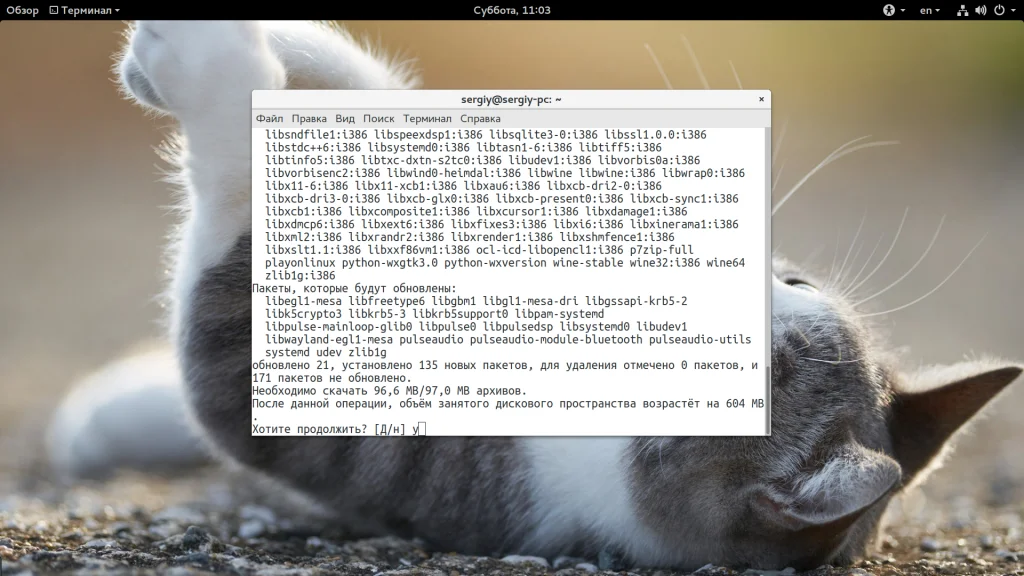 Запускай Windows-программы в Linux за пару кликов: полный гайд по PlayOnLinux