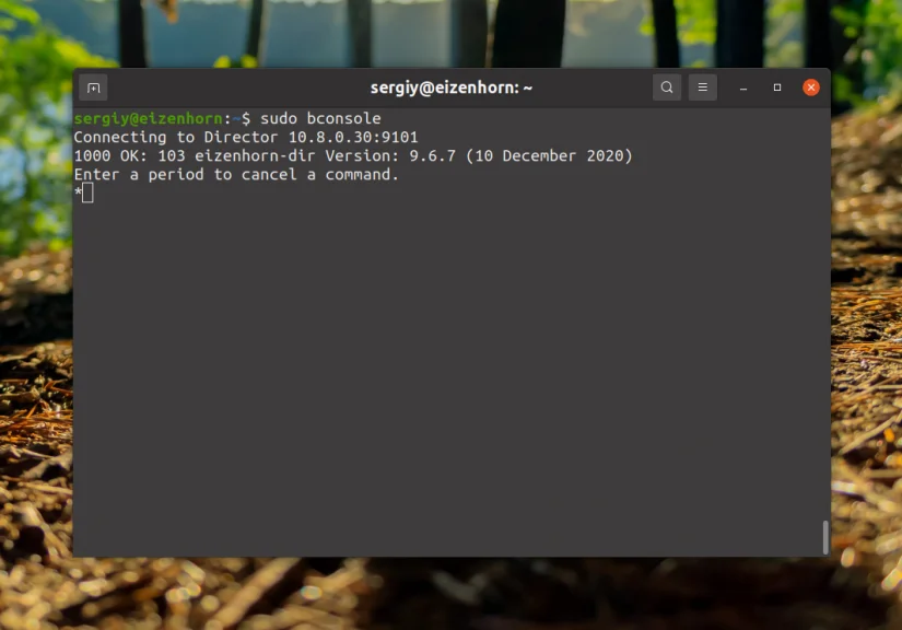 Bacula: Настройте надежное резервное копирование на Linux за 6 шагов