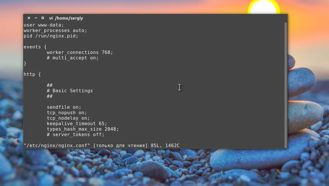 Nginx на Ubuntu: Полная инструкция по установке и настройке для максимальной производительности