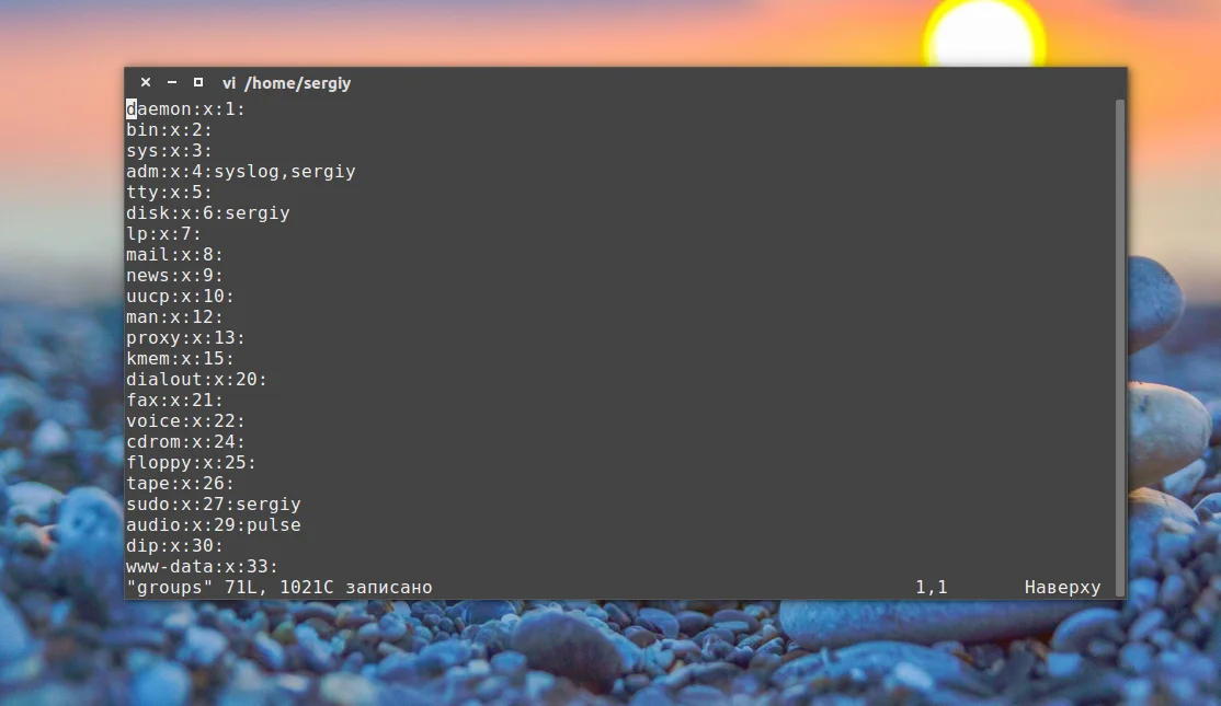 Целостность файлов под контролем: Проверяем хеш-суммы в Linux