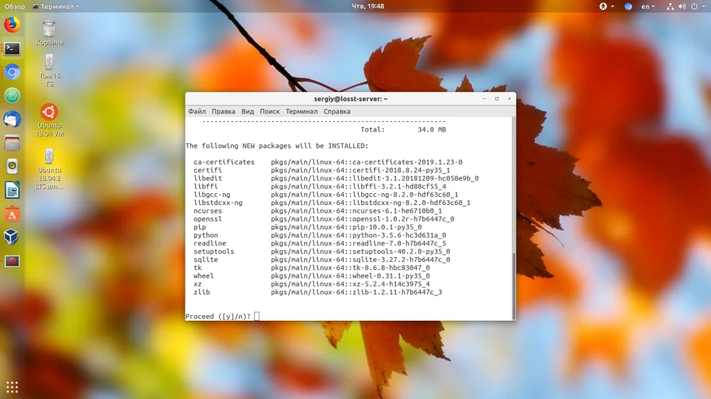 Anaconda в Ubuntu: Полный гайд по установке и настройке для Python-разработки