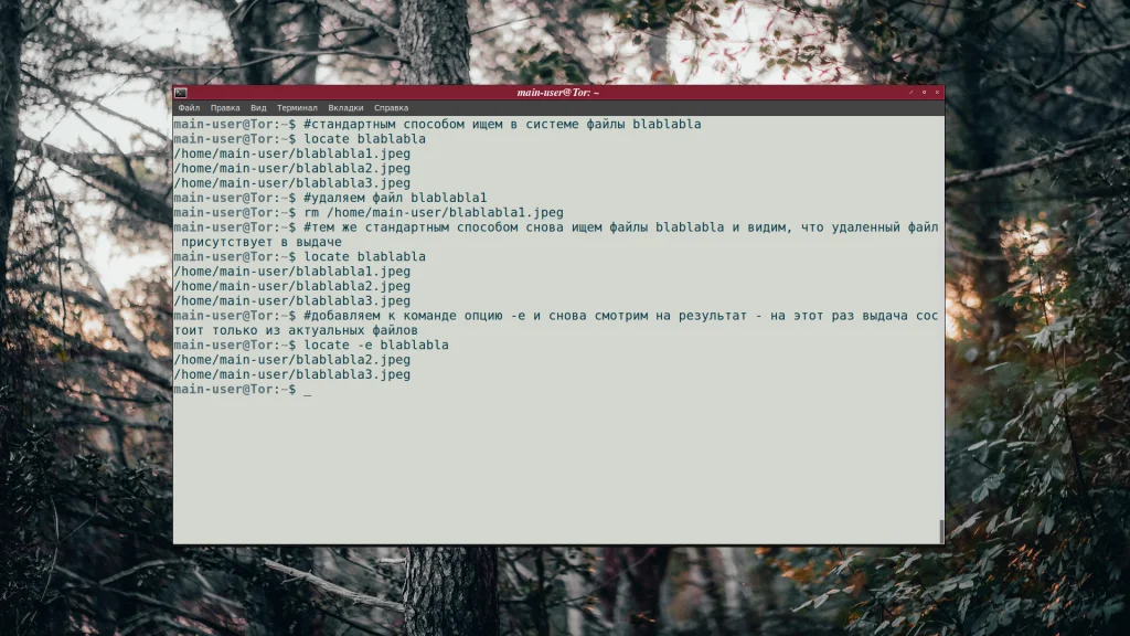Найдите любой файл в Linux за секунды: Полное руководство по команде locate