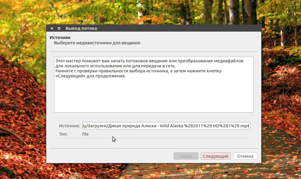 VLC не просто плеер: Как запустить свою трансляцию за 5 минут
