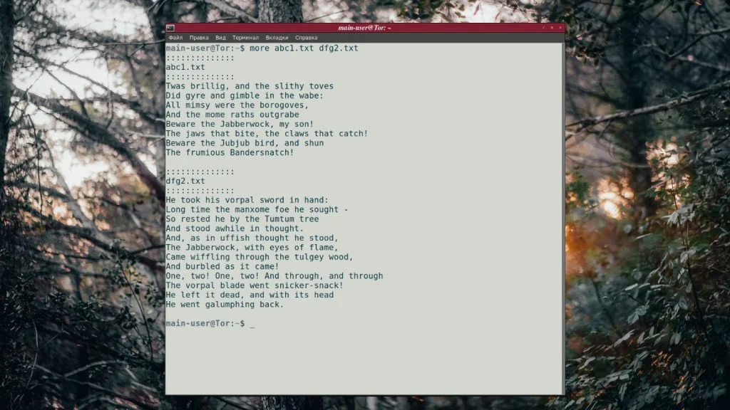 more в Linux: Как легко просматривать большие файлы в терминале