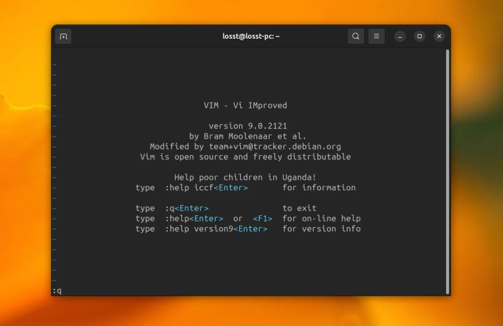 Vim: Как выжать максимум из легендарного редактора и ускорить работу в разы